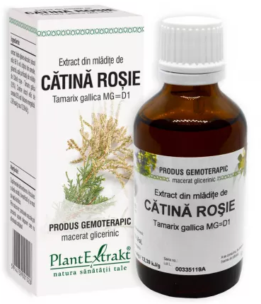 Tincturi si uleiuri - EXTRACT DIN MLADITE DE CATINA ROSIE * 50 ML, farmacom.ro