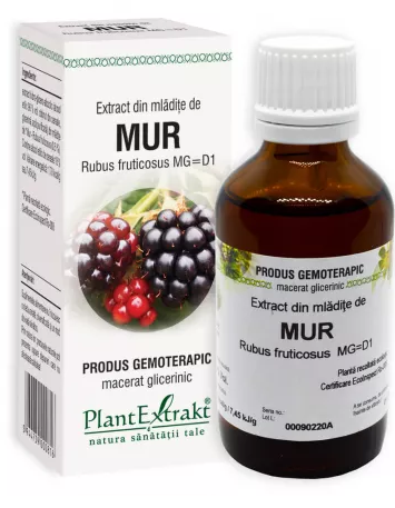 Tincturi si uleiuri - EXTRACT DIN MLADITE DE MUR * 50 ML, farmacom.ro