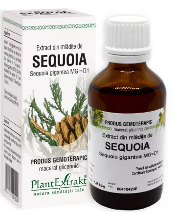 Tincturi si uleiuri - EXTRACT DIN MLADITE DE SEQUOIA * 50 ML, farmacom.ro