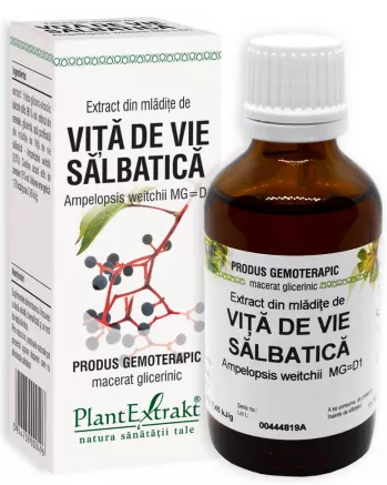 Tincturi si uleiuri - EXTRACT DIN MLADITE DE VITA DE VIE SALBATICA * 50 ML, farmacom.ro