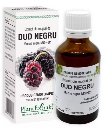 Tincturi si uleiuri - EXTRACT DIN MUGURI DE DUD NEGRU * 50 ML, farmacom.ro