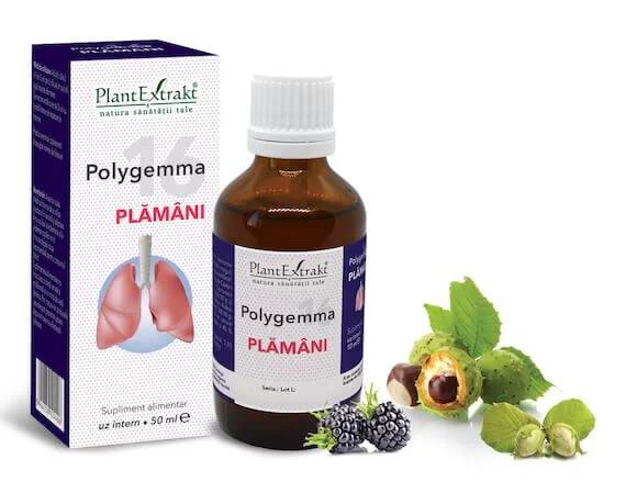 Tincturi si uleiuri - POLYGEMMA NR. 16 (PLAMANI) * 50 ML, farmacom.ro