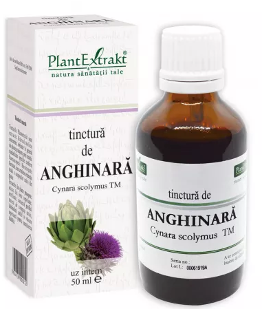 Suplimente, Produse naturiste, Vitamine si Minerale - TINCTURA DE ANGHINARE * 50 ML PLANTEXTRAKT, farmacom.ro