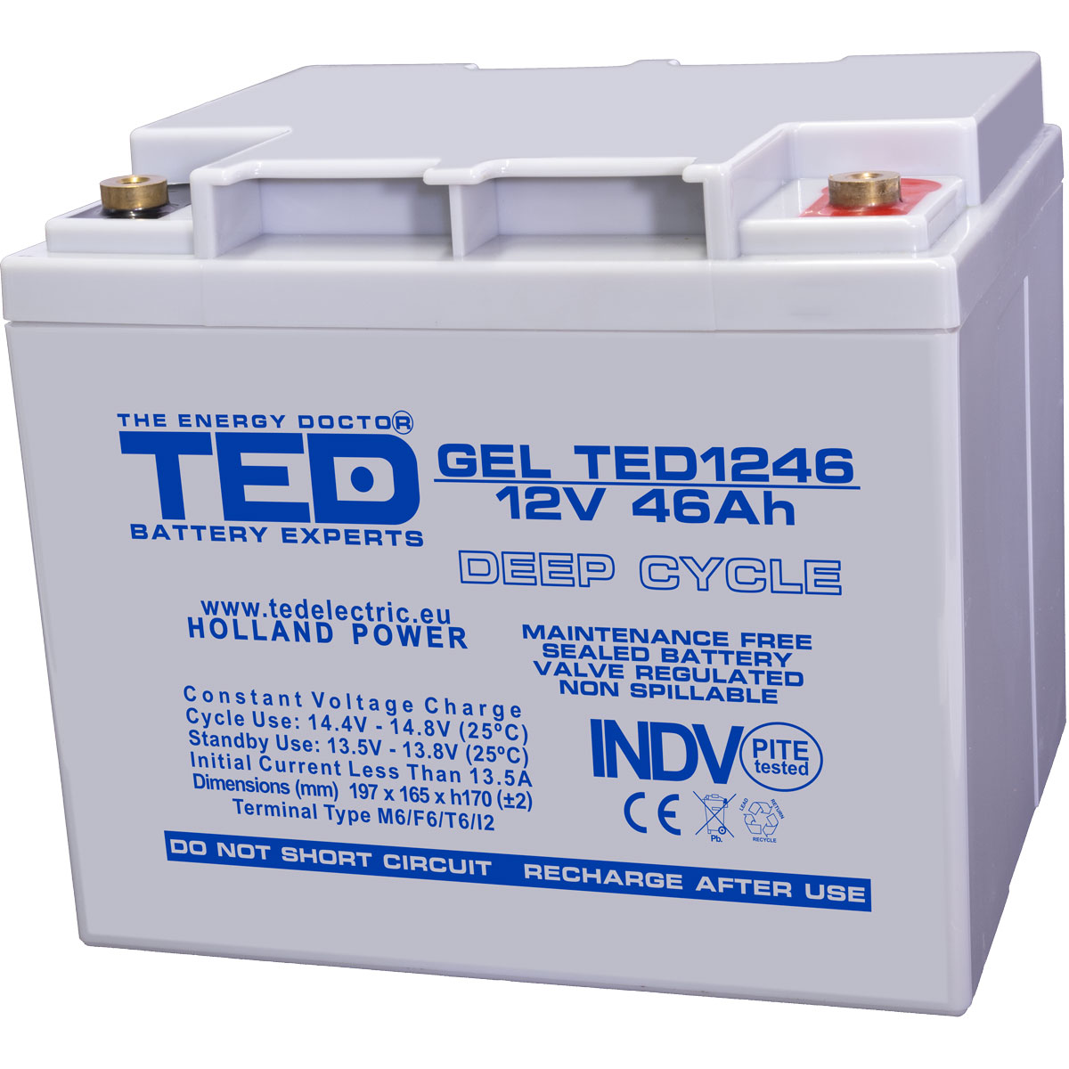 Acumulatori Stationari Etansi - Acumulator 12V GEL Deep Cycle, Dimensiuni 197 x 166 x 171 mm, Baterie 12V 46Ah M6, TED Electric TED003454, globstar.ro