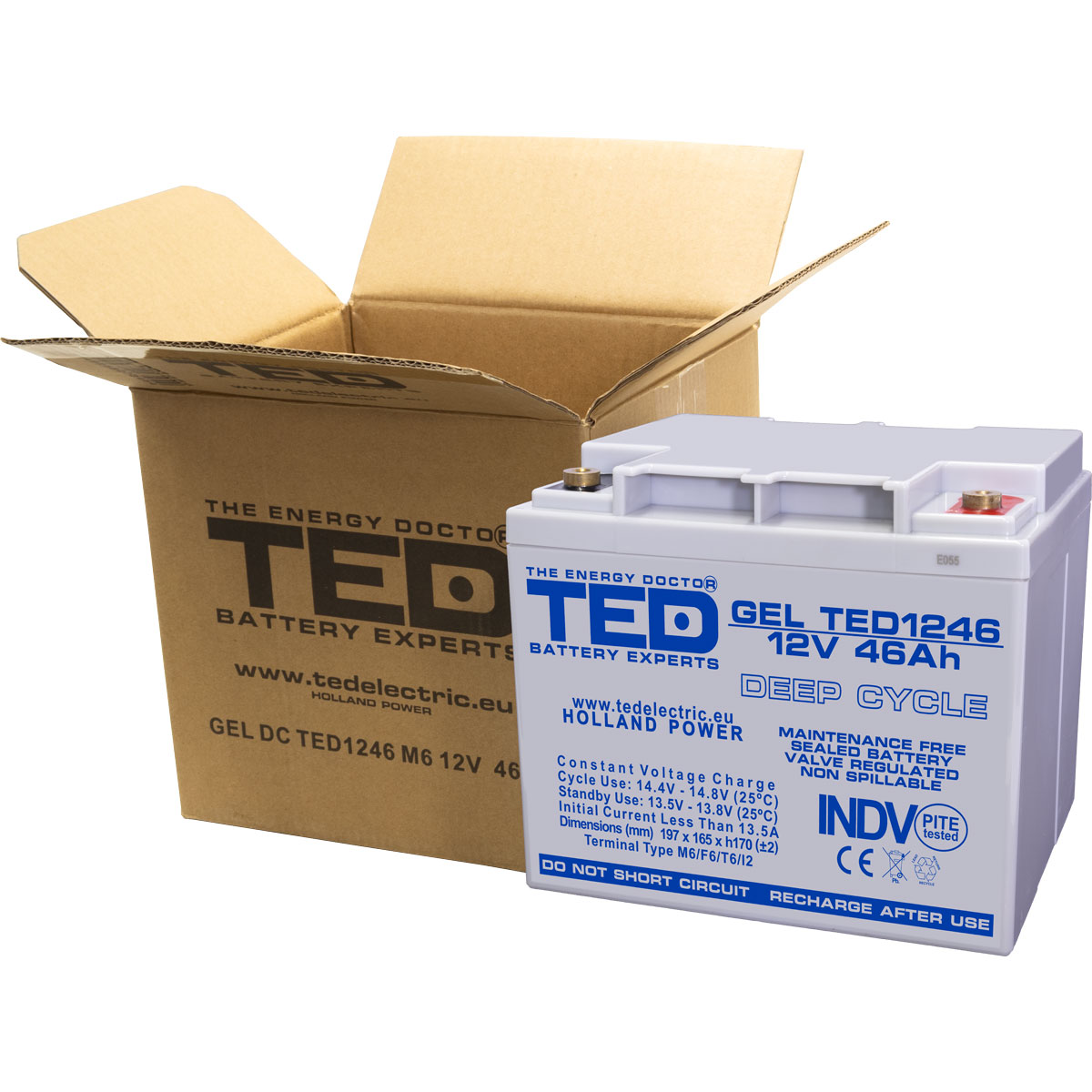 Acumulator 12V GEL Deep Cycle, Dimensiuni 197 x 166 x 171 mm, Baterie 12V 46Ah M6, TED Electric TED003454