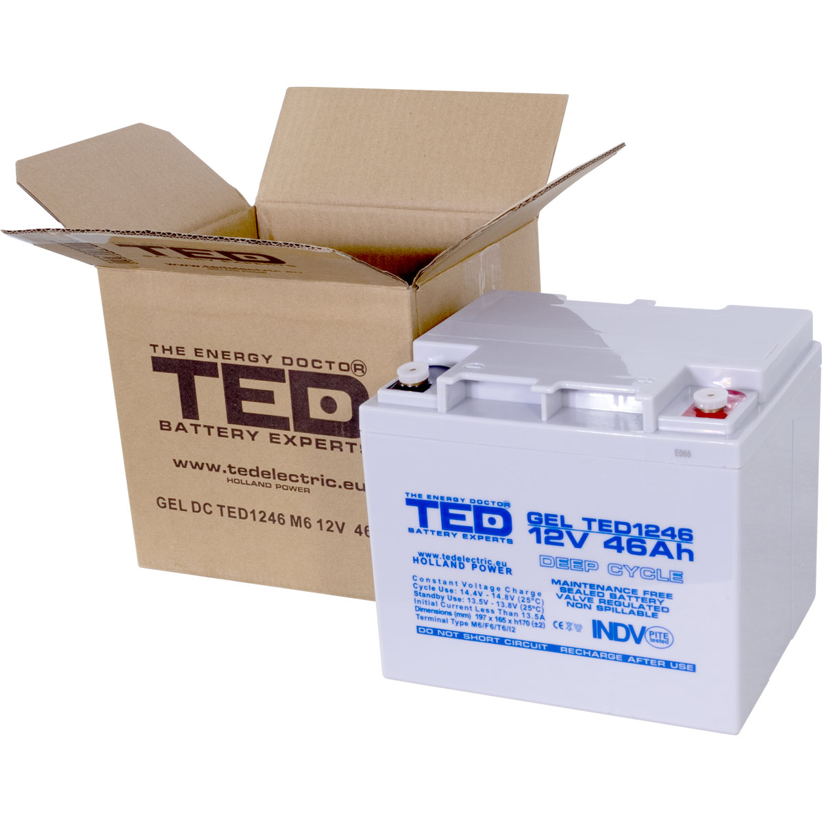 Acumulator 12V GEL Deep Cycle, Dimensiuni 197 x 166 x 171 mm, Baterie 12V 46Ah M6, TED Electric TED003454