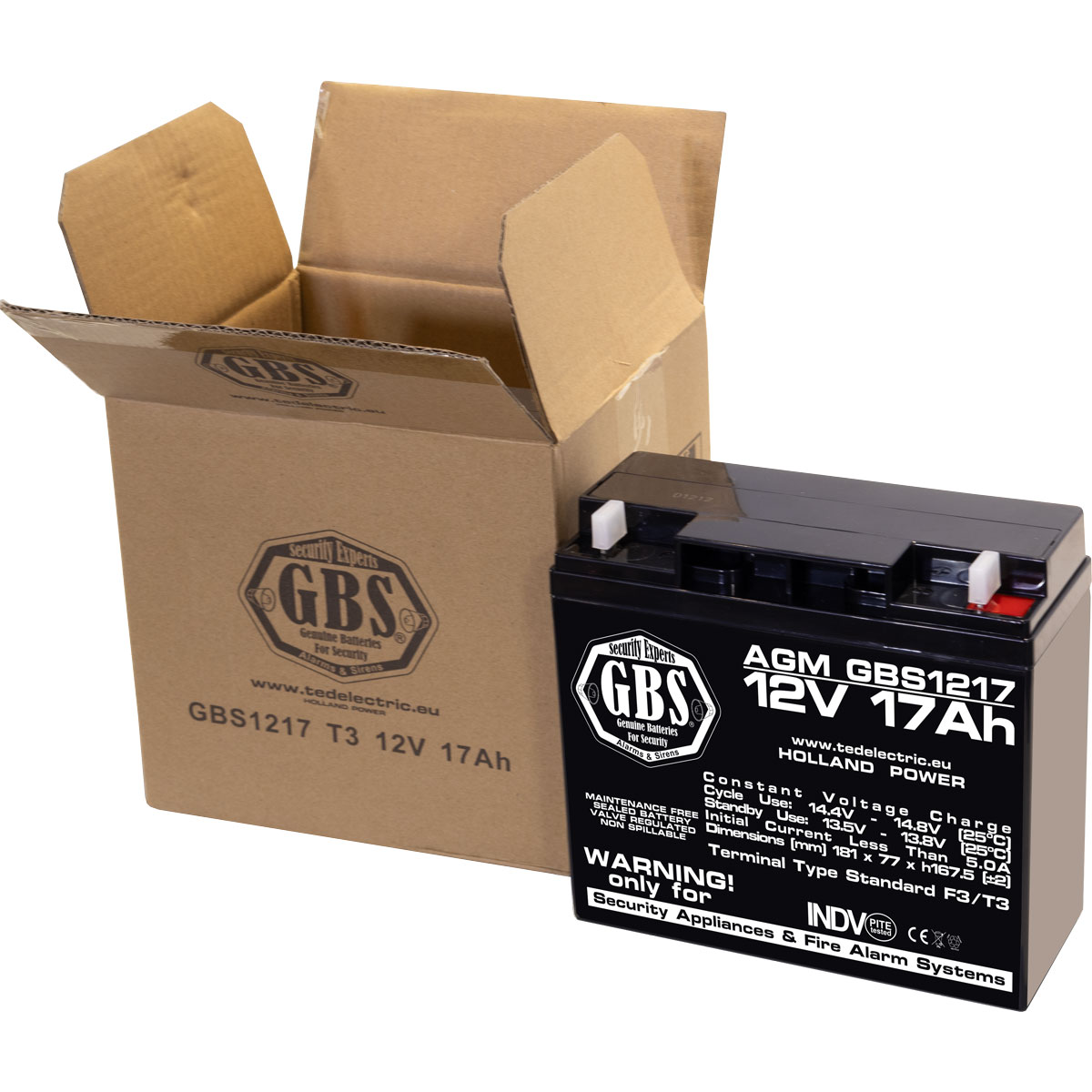Acumulator 12V Sisteme Alarma, Dimensiuni 181 x 76 x 167 mm, Baterie 12V 17Ah F3, TED Electric GBS