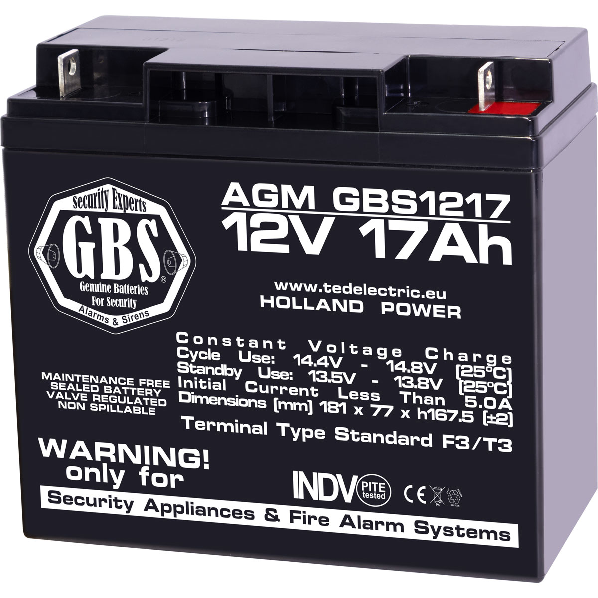 Acumulatori Stationari Etansi - Acumulator 12V Sisteme Alarma, Dimensiuni 181 x 76 x 167 mm, Baterie 12V 17Ah F3, TED Electric GBS, globstar.ro