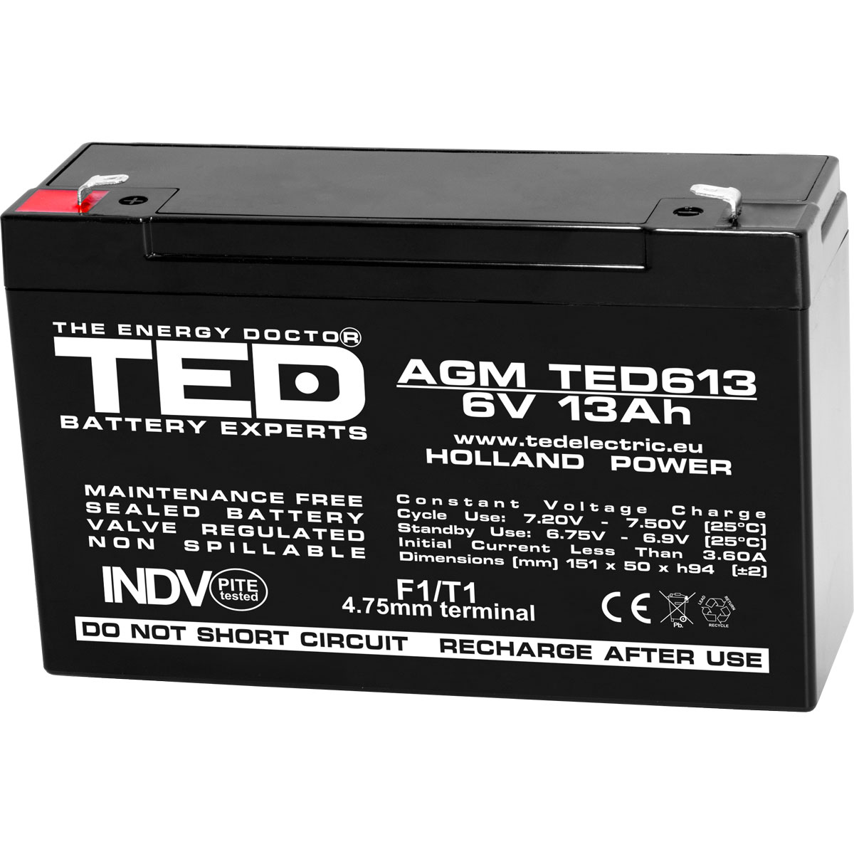 Acumulatori Stationari Etansi - Acumulator 6V Stationar VRLA, Dimensiuni 151 x 50 x 95 mm, Baterie 6V 13Ah F1, TED Electric TED003010, globstar.ro