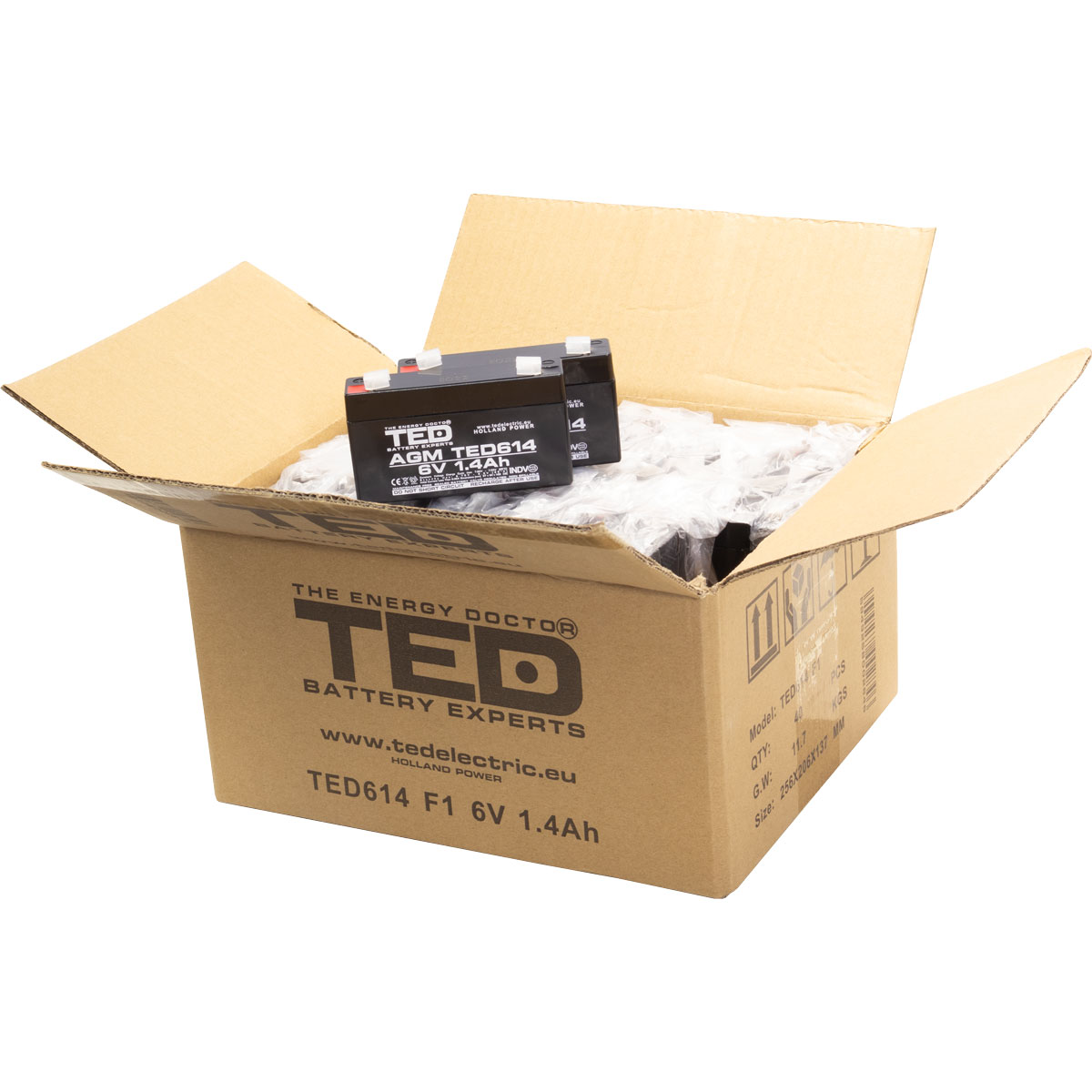 Acumulator 6V Stationar VRLA, Dimensiuni 97 x 24 x 52 mm, Baterie 6V 1.4Ah F1, TED Electric TED002839