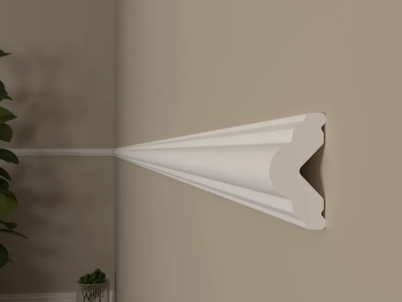 BRAU POLIMER DUR CHP2010 10X20MM 2ML