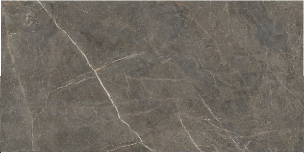 GRESIE GOLDEN TILE STONE ROOTS BROWN 1200 X 600 MM SO79TT0