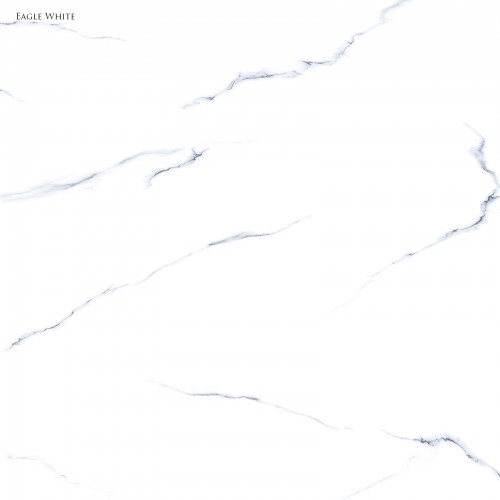 GRESIE INDIA EAGLE WHITE 60 x 60 cm