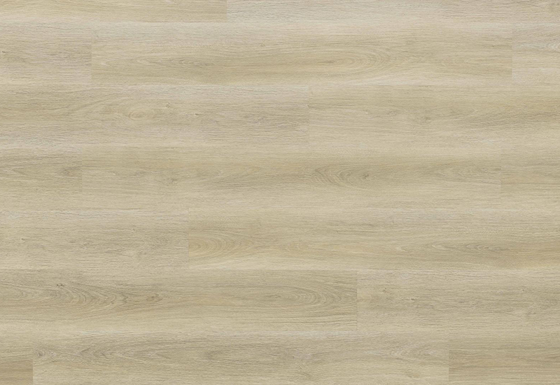 PARDOSEALA SPC BICLICK AFIRMAX CBC 42402 PROVIDENCE OAK