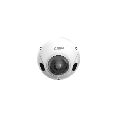 Camere IP - Cameră de supraveghere dome IP 2MP anti-vandal, lentilă fixă 2.1mm DAE-CPC5241FPN-M12-0210B, high-security.ro