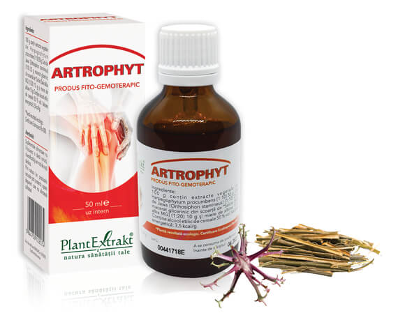 Dureri musculare - Artrophyt, soluție, 50ml, PlantExtrakt, sinapis.ro