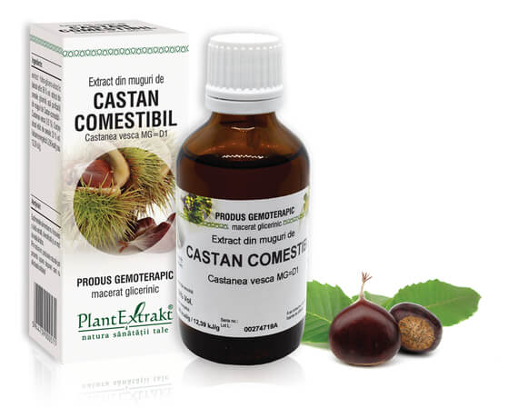 TINCTURI SI GEMODERIVATE - Extract muguri castan comestibil (Castanea vesca) 50ml, PlantExtrakt, sinapis.ro