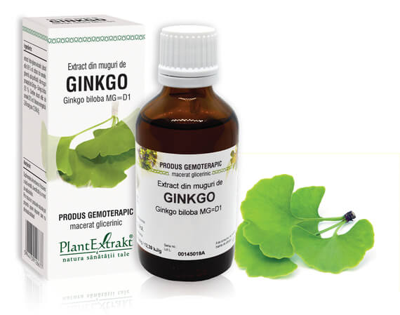 TINCTURI SI GEMODERIVATE - Extract muguri ginkgo (Ginkgo biloba) 50ml, PlantExtrakt, sinapis.ro