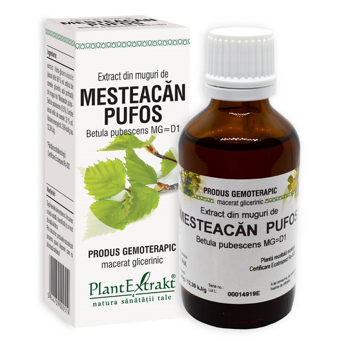 TINCTURI SI GEMODERIVATE - Extract muguri mesteacăn pufos (Betula pubescens), 50ml, PlantExtrakt, sinapis.ro