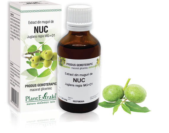 TINCTURI SI GEMODERIVATE - Extract muguri nuc (Juglans regia) 50ml, PlantExtrakt, sinapis.ro