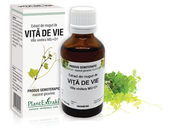 TINCTURI SI GEMODERIVATE - Extract muguri viță de vie (Vitis vinifera) 50ml, PlantExtrakt, sinapis.ro