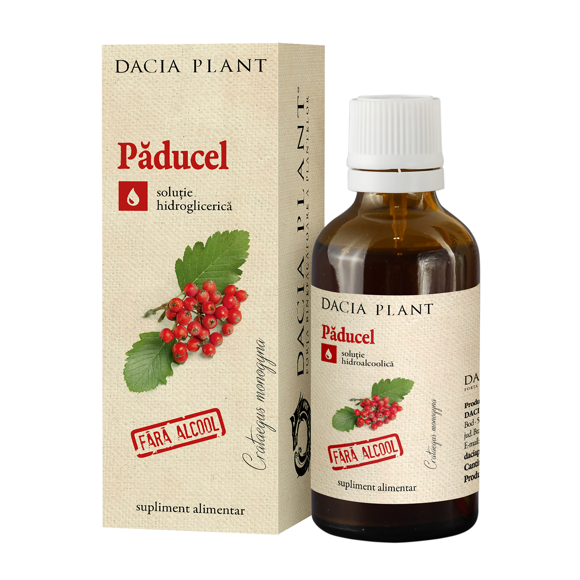 Cardiace-tensiune - Extract natural de Păducel fără alcool, 50 ml, Dacia Plant, sinapis.ro
