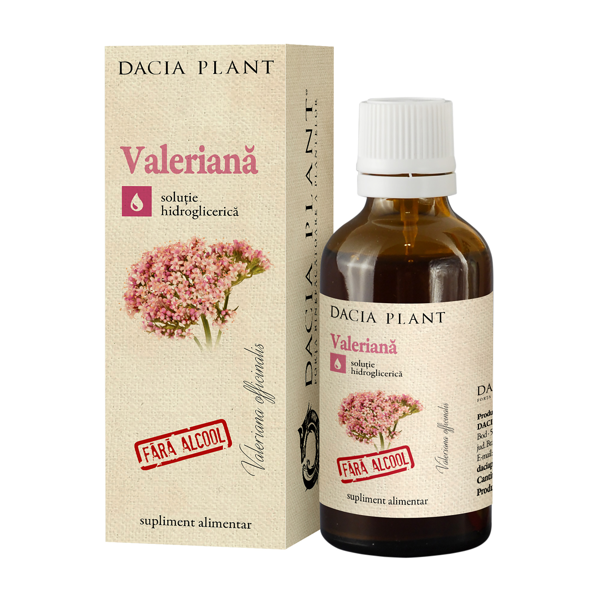 Sedative - Extract natural de Valeriană fără alcool, 50 ml, Dacia Plant, sinapis.ro