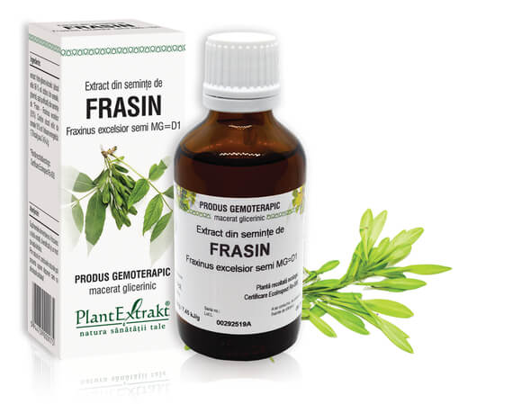 TINCTURI SI GEMODERIVATE - Extract semințe frasin (Fraxinus excelsior) 50ml, PlantExtrakt, sinapis.ro