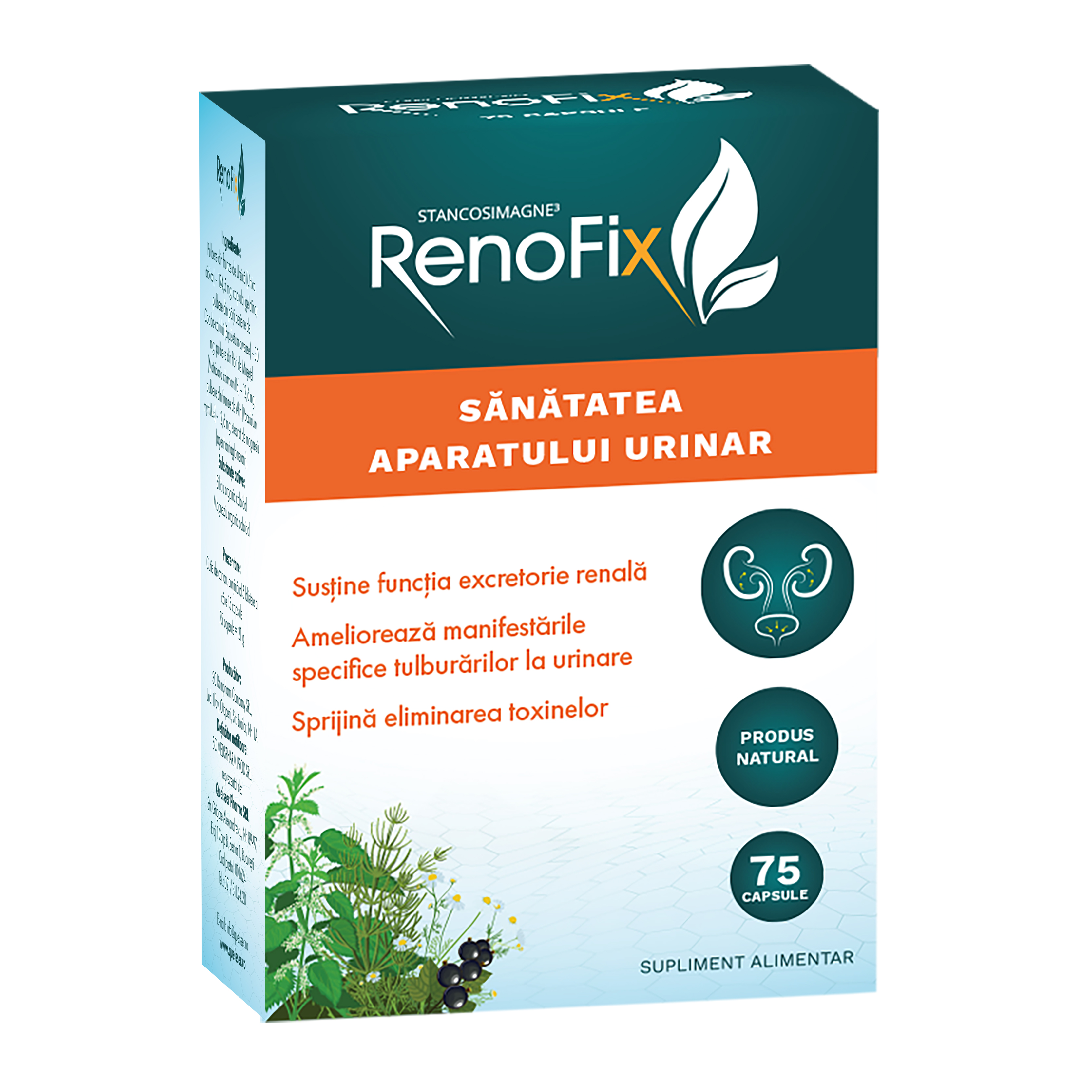 Dezinfectante urinare - RenoFix pentru Sănătatea aparatului urinar, 75 capsule, sinapis.ro