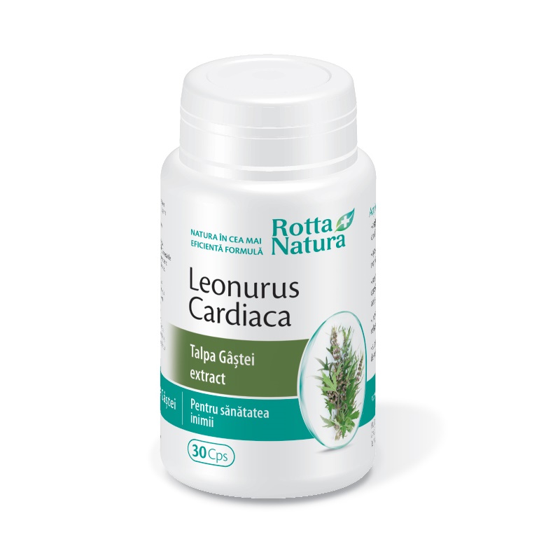 Leonurus Cardiaca - Extract Talpa Gâștei, 30 capsule