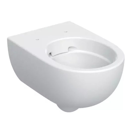 Vase wc - Vas wc suspendat Geberit Selnova Premium Rimfree 53 x 36 cm, fixare ascunsa, alb, laguna.ro