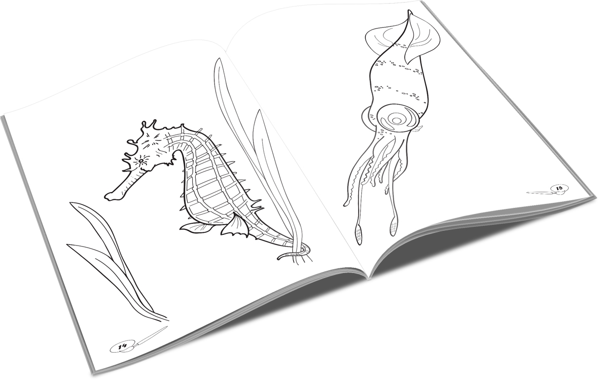 Carte De Colorat Animale Marine B5