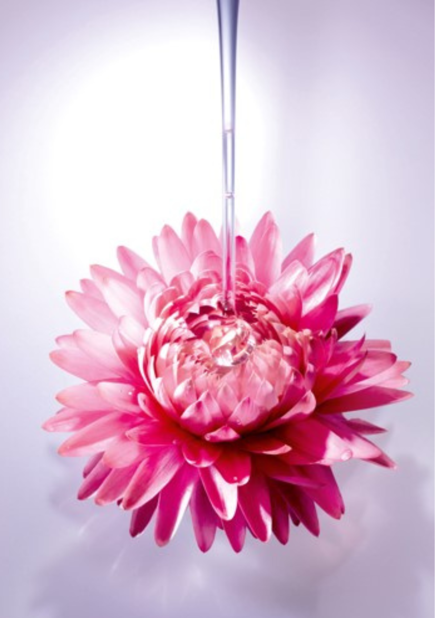 GALÉNIC ELIXIR FLORAL PRE-INGRIJIRE 30ML
