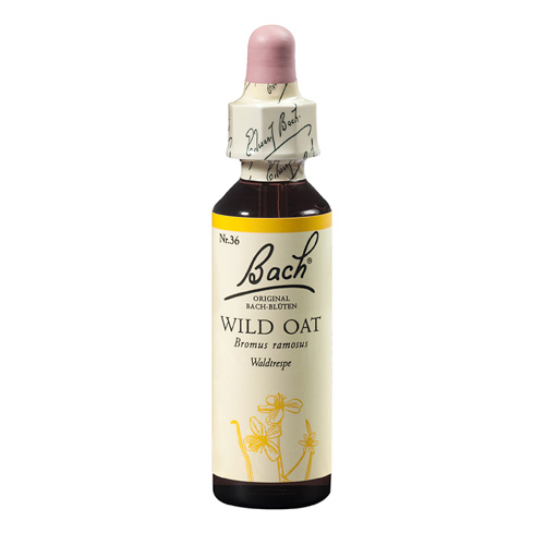 Remedii florale Bach - Remediu floral Bach Wild oat (Ovaz salbatic) x 20ml, medik-on.ro