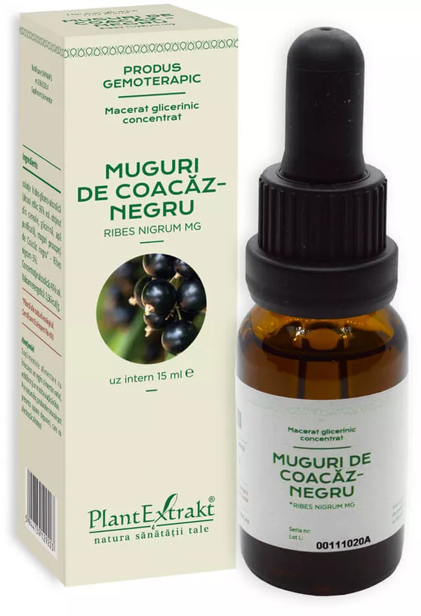 Extracte gemoderivate - Concentrat din muguri de Coacaz negru x 15ml, medik-on.ro