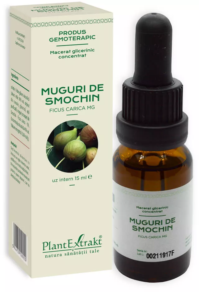 Extracte gemoderivate - Concentrat din Muguri de smochin x 15ml, medik-on.ro