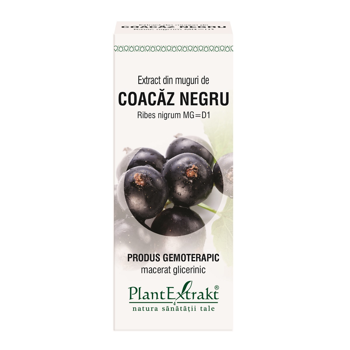 Extracte gemoderivate - Extract din muguri de Coacaz negru x 50ml, medik-on.ro