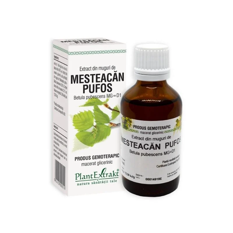 Extracte gemoderivate - Extract din muguri de Mesteacan pufos x 50ml, medik-on.ro