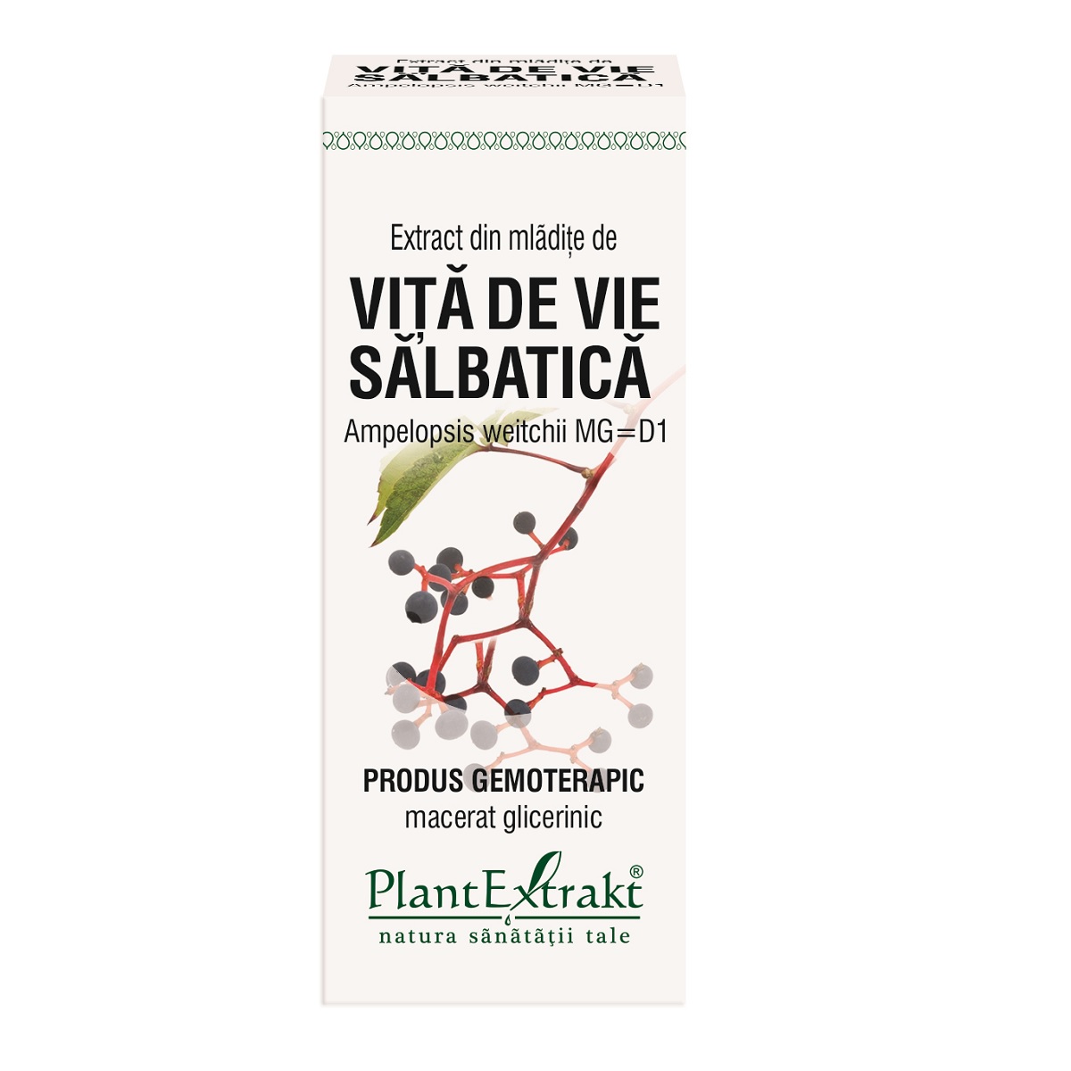 Extracte gemoderivate - Extract din mladite de Vita de vie salbatica x 50ml, medik-on.ro