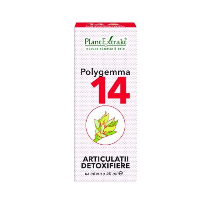 Extracte gemoderivate - Polygemma 14 Articulatii detoxifiere x 50ml, medik-on.ro