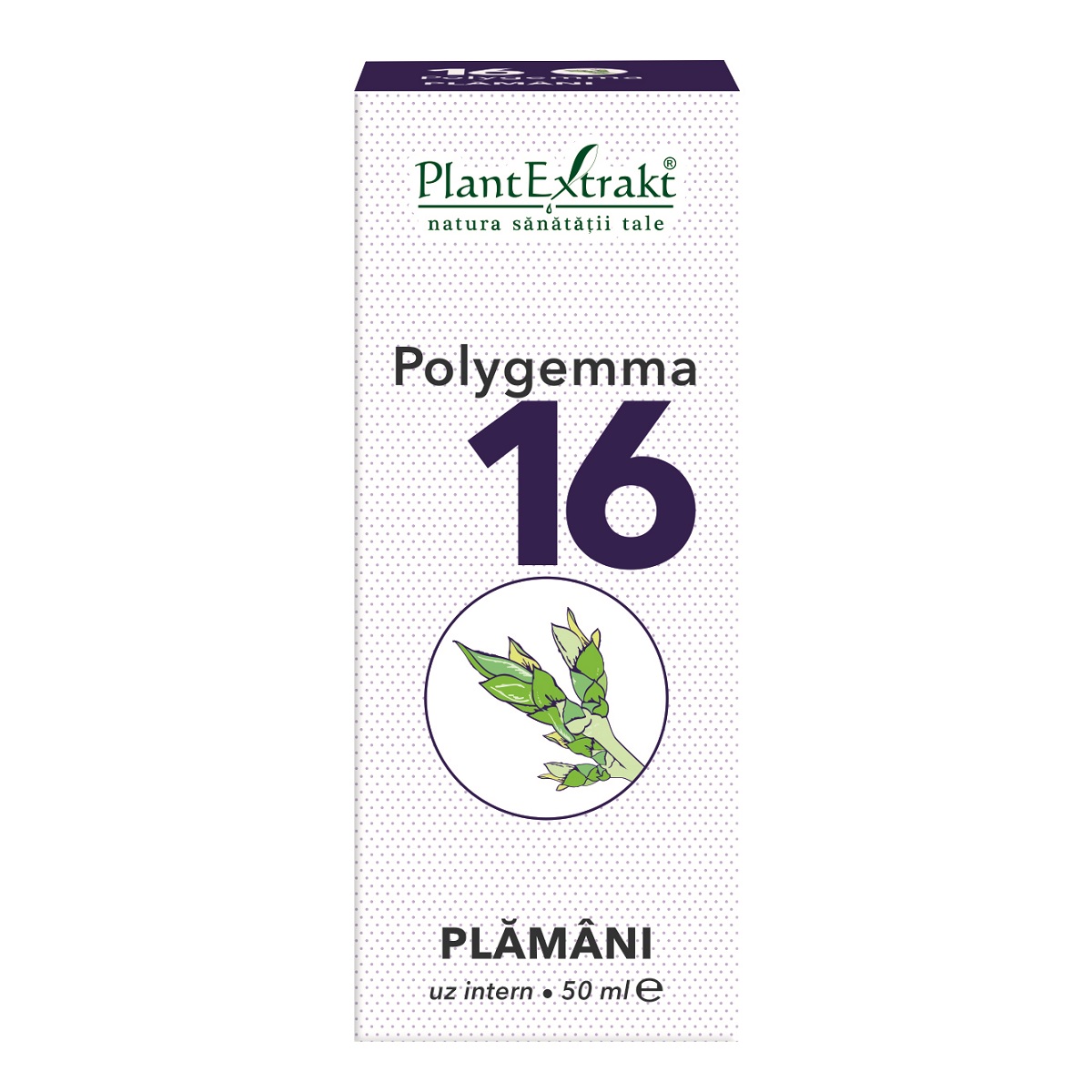 Extracte gemoderivate - Polygemma 16 Plamani x 50ml, medik-on.ro