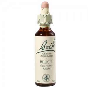 Remedii florale Bach - Terapie florala Bach Beech (fag) x 20ml, medik-on.ro