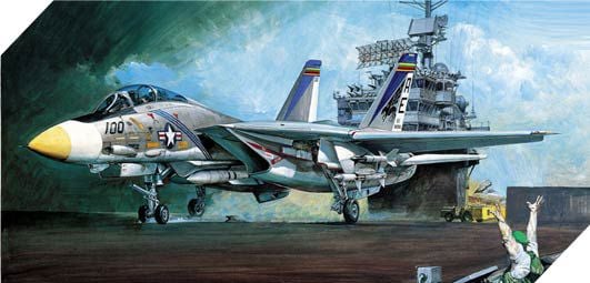 Academia Aeronautică Flotila de Luptă F14A Tomcat (12253)