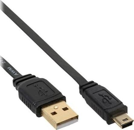 Accesoriu pentru imprimanta inline USB A - USB Mini (5pin) 2 m 31820F