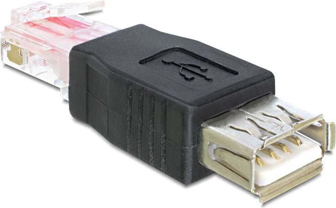 Adaptor USB Delock 65234 USB - RJ45 Negru (65234)