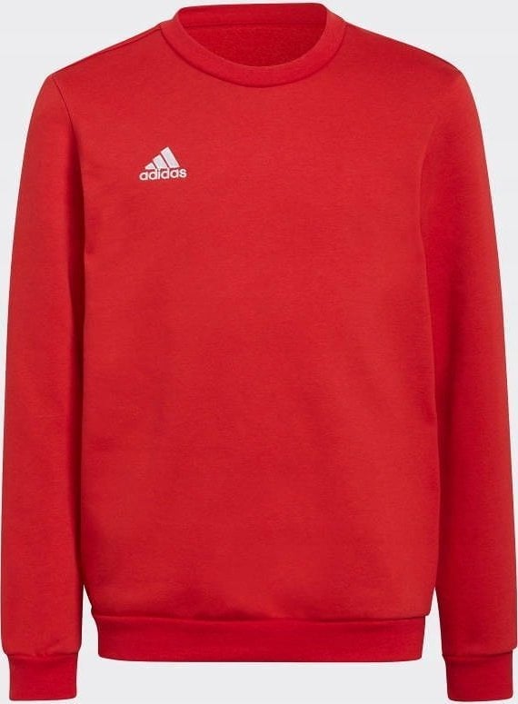 Adidas Bluza adidas ENTRADA 22 Sweat Top Y H57473