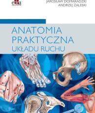 Anatomia practică a sistemului musculo-scheletic