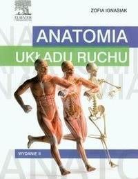 Anatomia sistemului musculo-scheletic