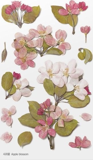 Autocolante decorative Appree cu flori Jablonia