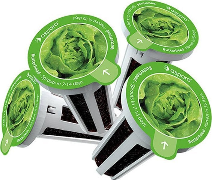Kit-uri Smart Home si senzori - Aspara Set de semințe de Aspara de la GrowGreen - salată verde